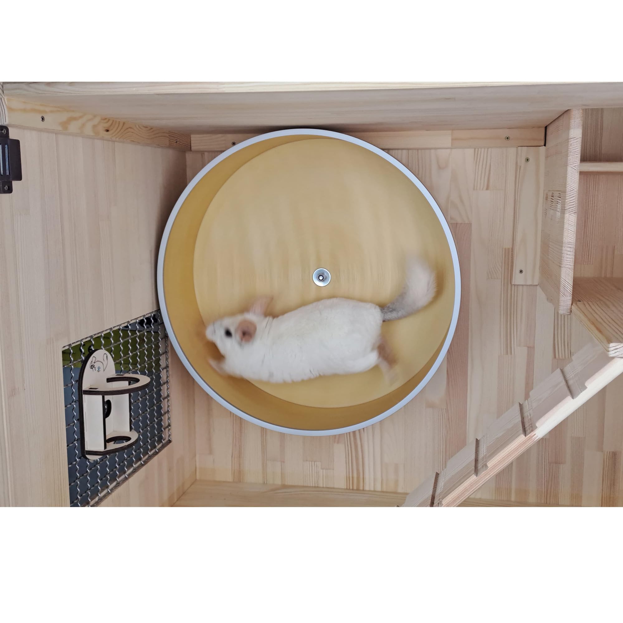 AMIDA Craft chinchilla in habitat using wheel for enrichment and daily activity.