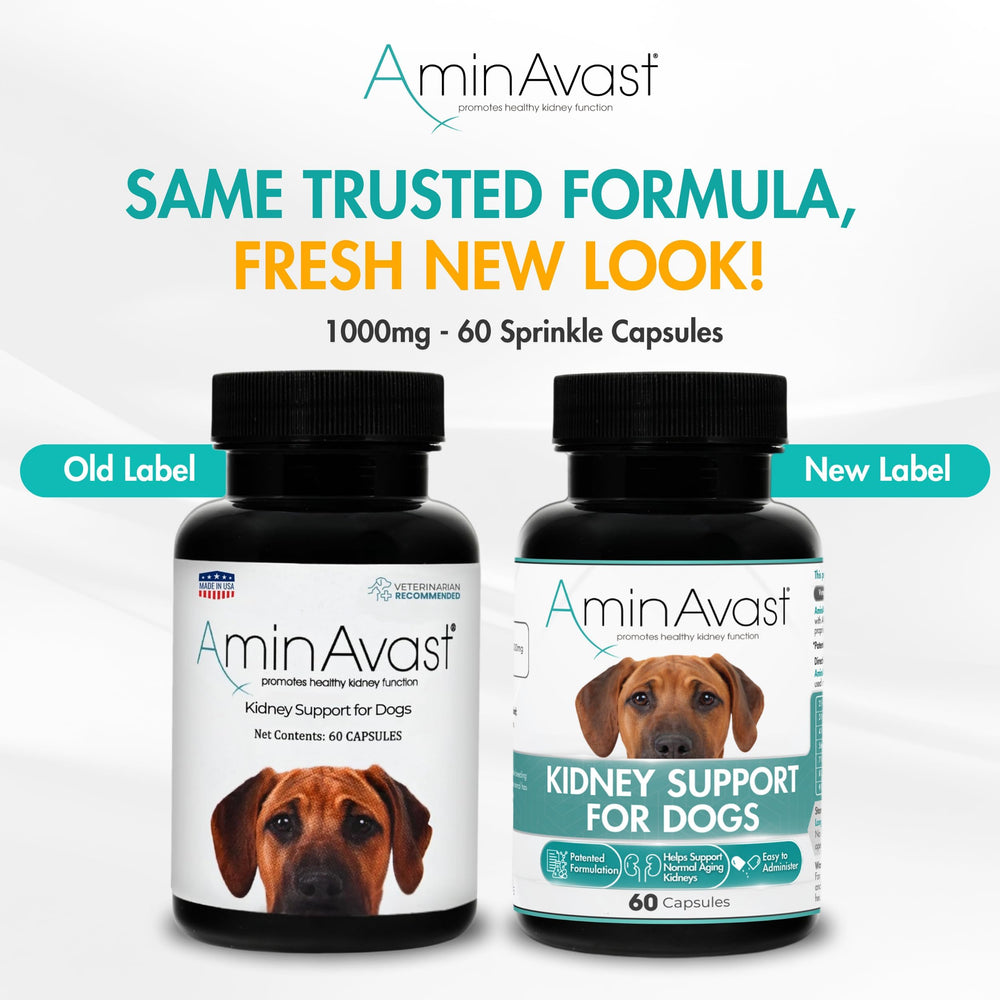 AminAvast capsules for dogs demonstrate simple administration and reliable daily use.