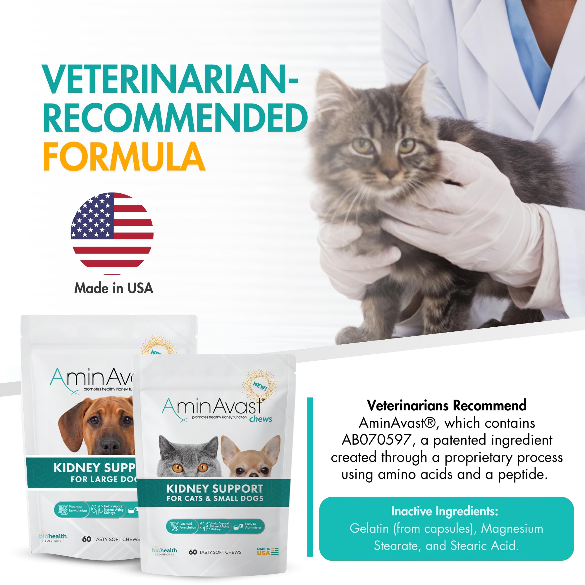 Cat or small dog enjoys AminAvast chews with food for daily routine.
