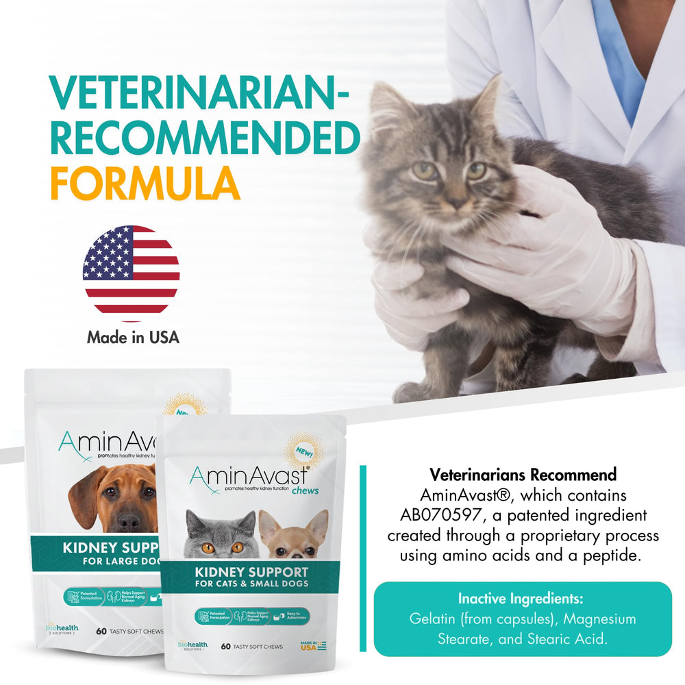 Cat or small dog enjoys AminAvast chews with food for daily routine.