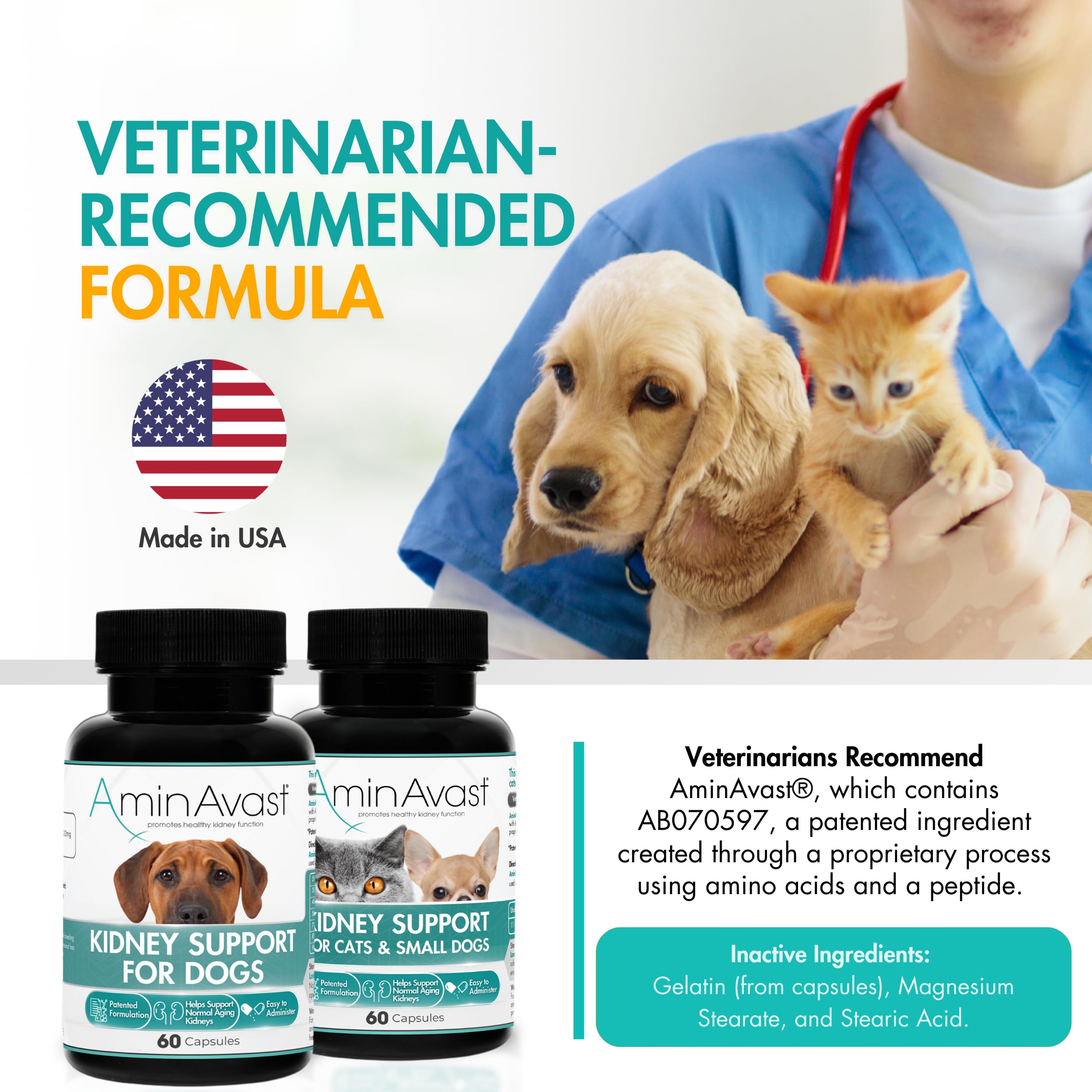 AminAvast formula beside pets for potential coat quality and energy benefits