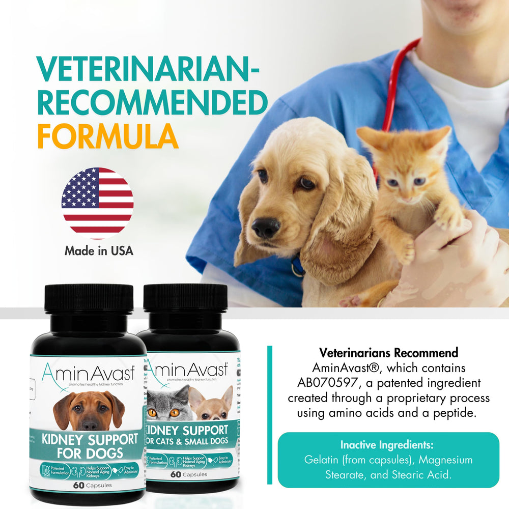 AminAvast formula beside pets for potential coat quality and energy benefits