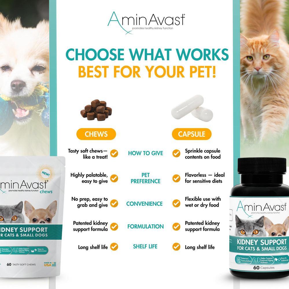 AminAvast chews portioned for daily kidney support.