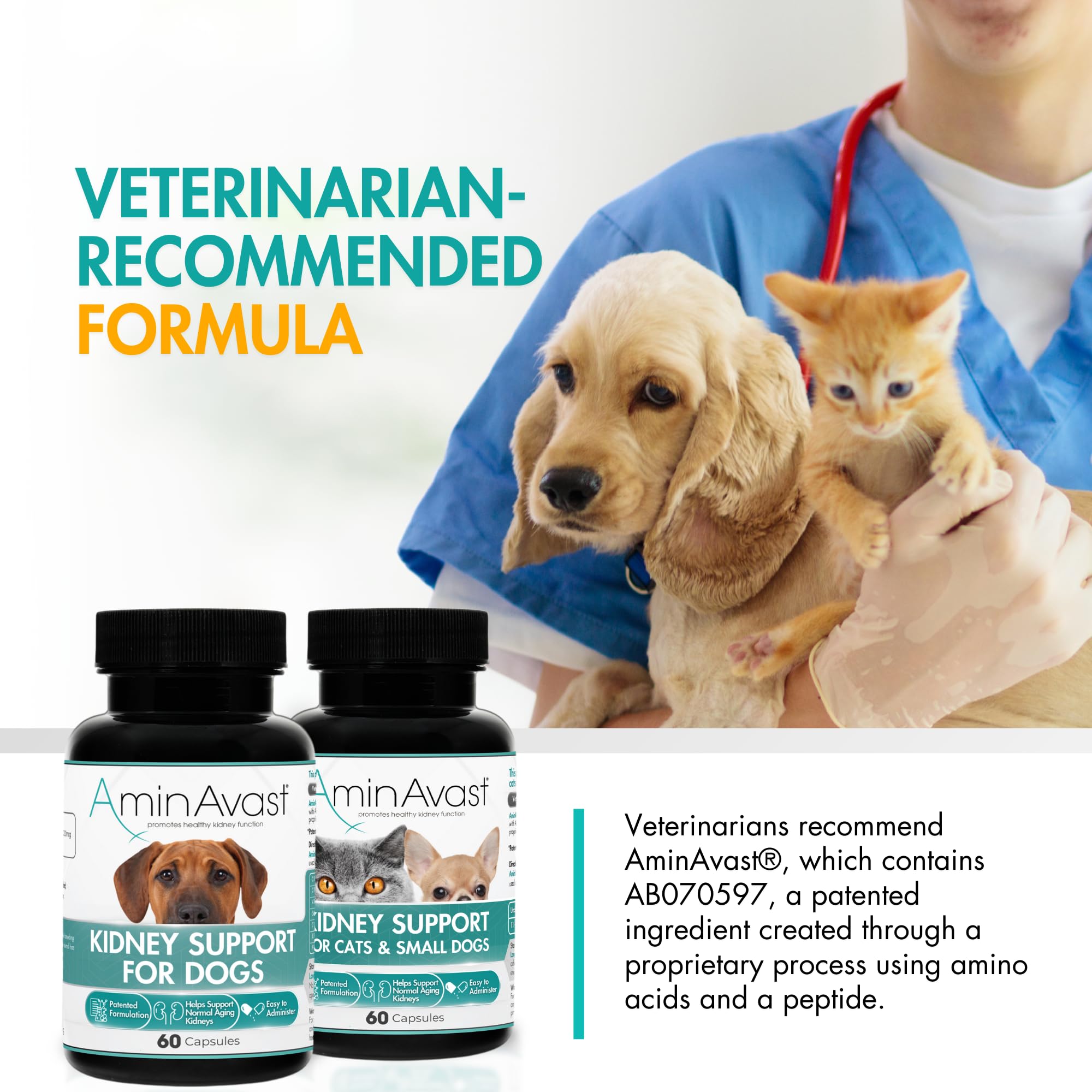 Improved coat condition and appetite seen with AminAvast in dogs.