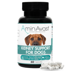 AminAvast dog kidney supplement bottle supports easy daily dosing for aging kidneys.
