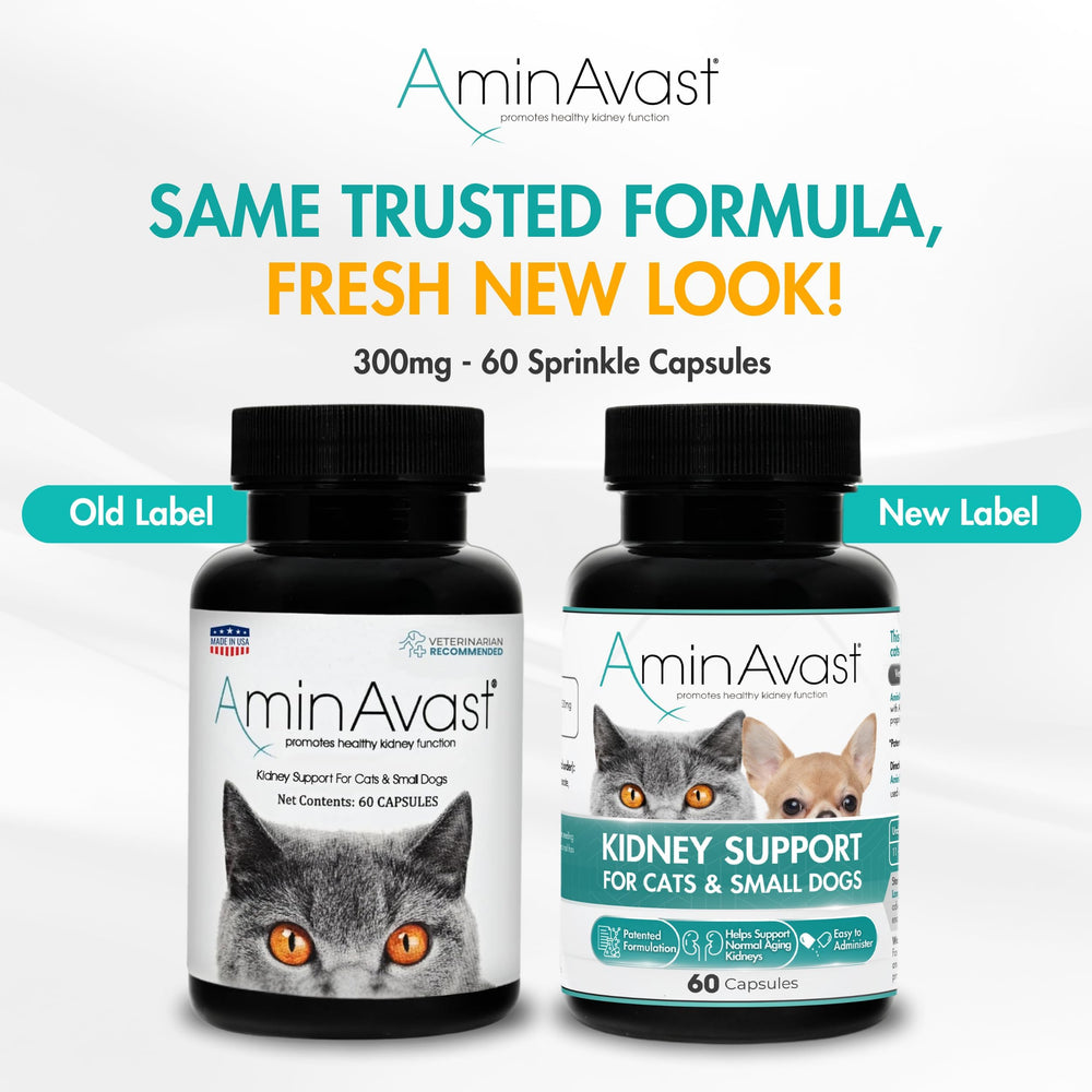 AminAvast kidney-support capsules-closeup showing 60 capsules for ongoing use.