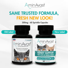 AminAvast kidney-support capsules-closeup showing 60 capsules for ongoing use.