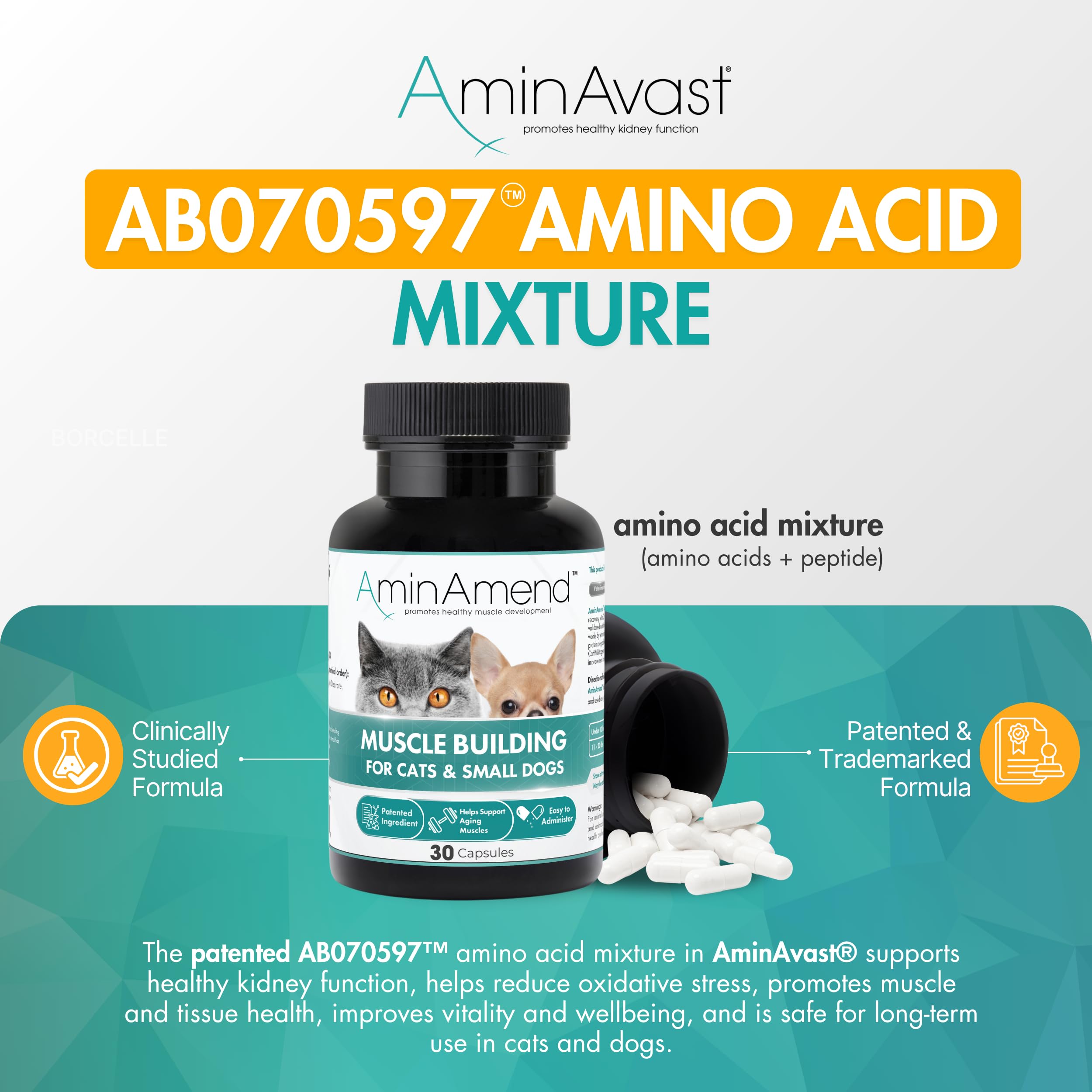 AminAvast being mixed into pet food for seamless administration.