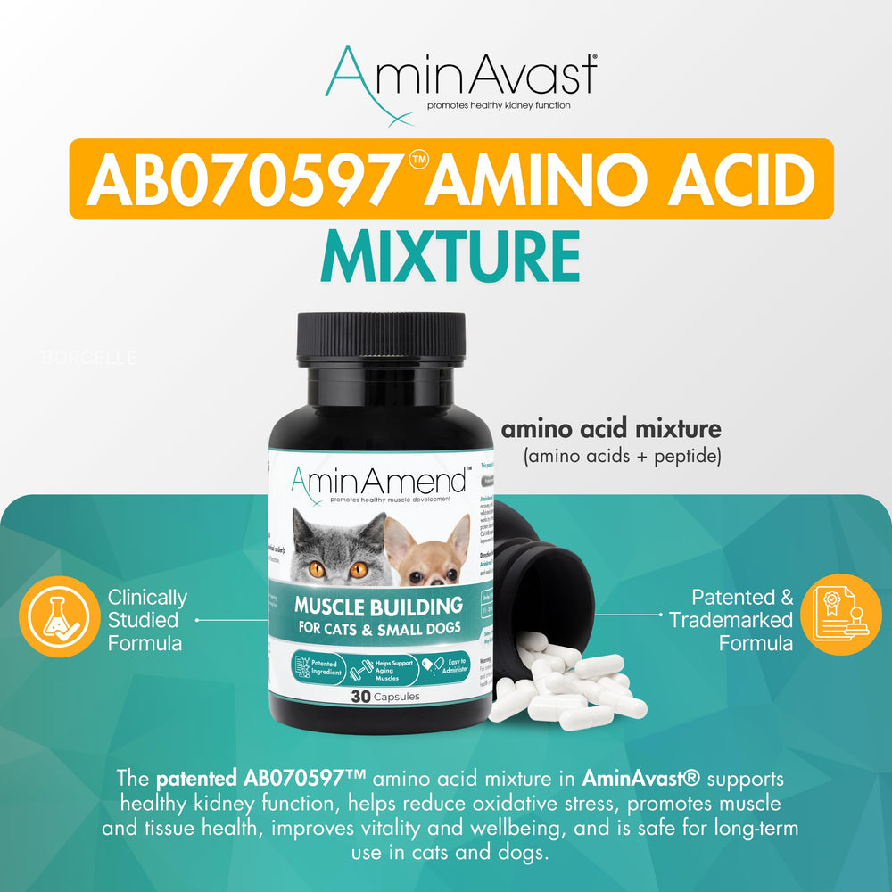 AminAvast being mixed into pet food for seamless administration.