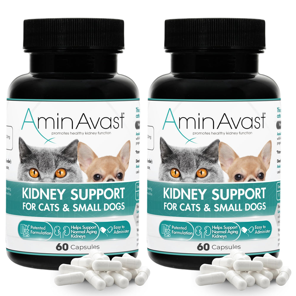 AminAvast kidney-support packaging signals trusted supplement for aging pets