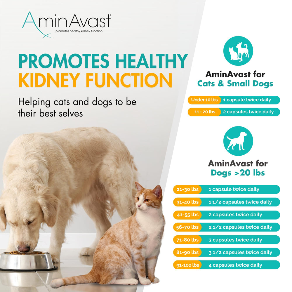 AminAvast packaging designed for small dogs and cats under 20 pounds.