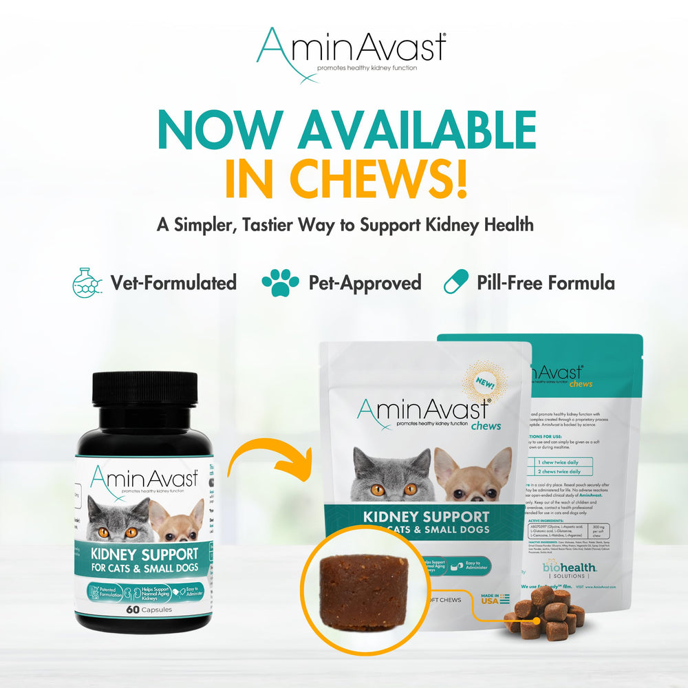 A AminAvast vet-recommendation badge signals trusted guidance.
