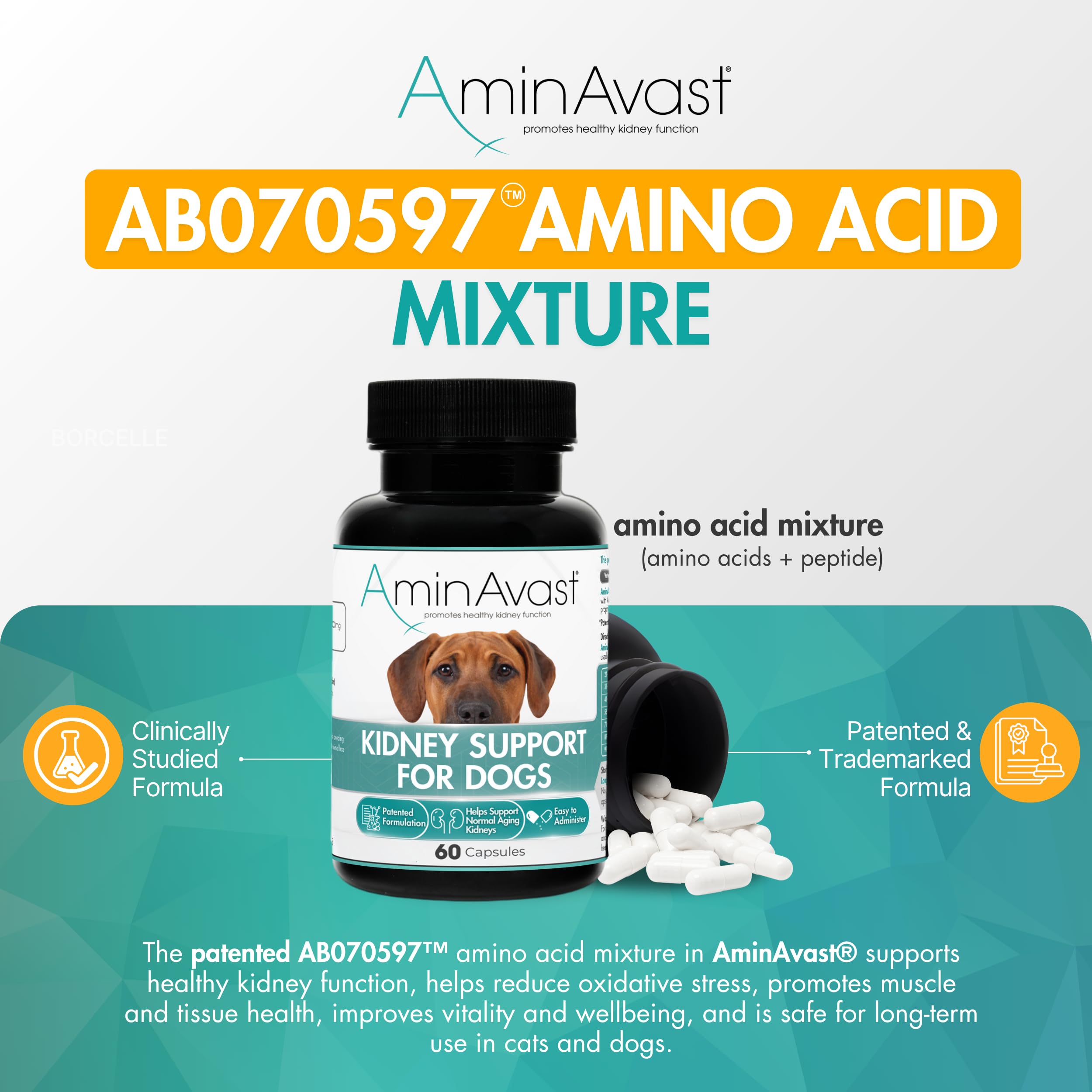AminAvast patented formula supports kidneys with US9669010 B2 protection.