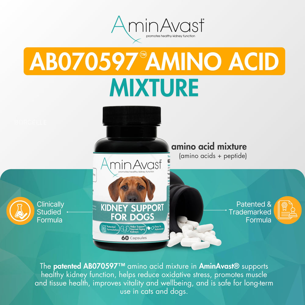 AminAvast patented formula supports kidneys with US9669010 B2 protection.