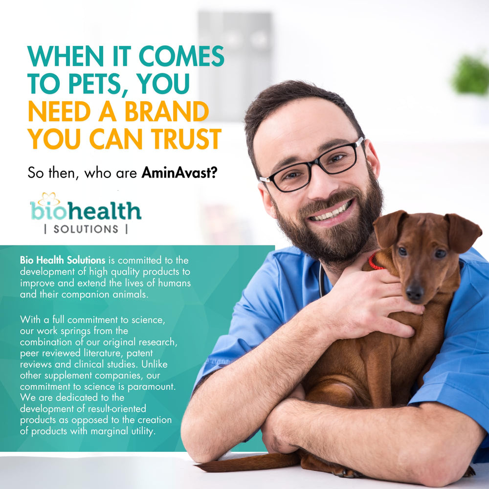 AminAvast soft chews texture close-up emphasizing palatability for pets.
