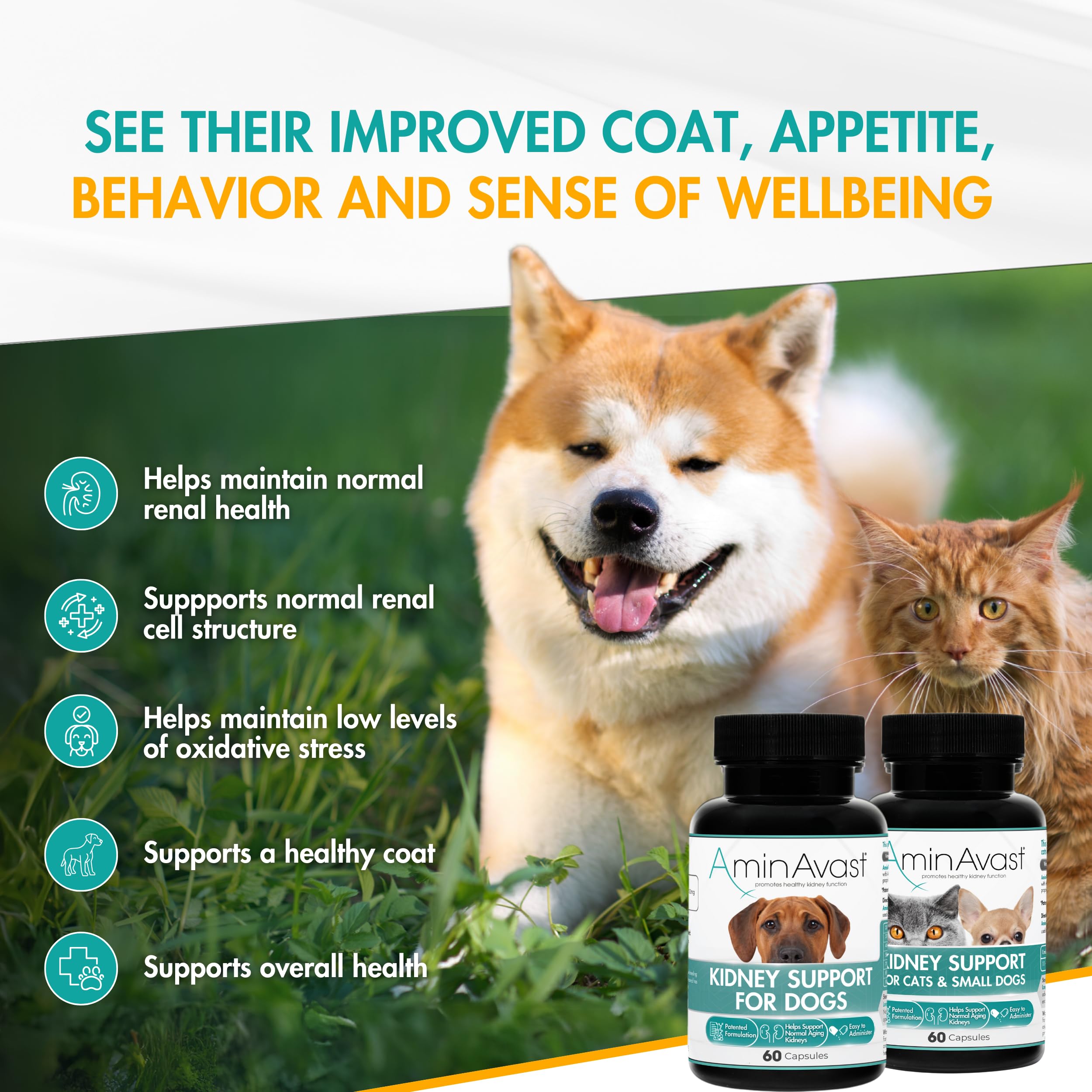 AminAvast sprinkle capsules in food bowl demonstrate simple mixing into meals
