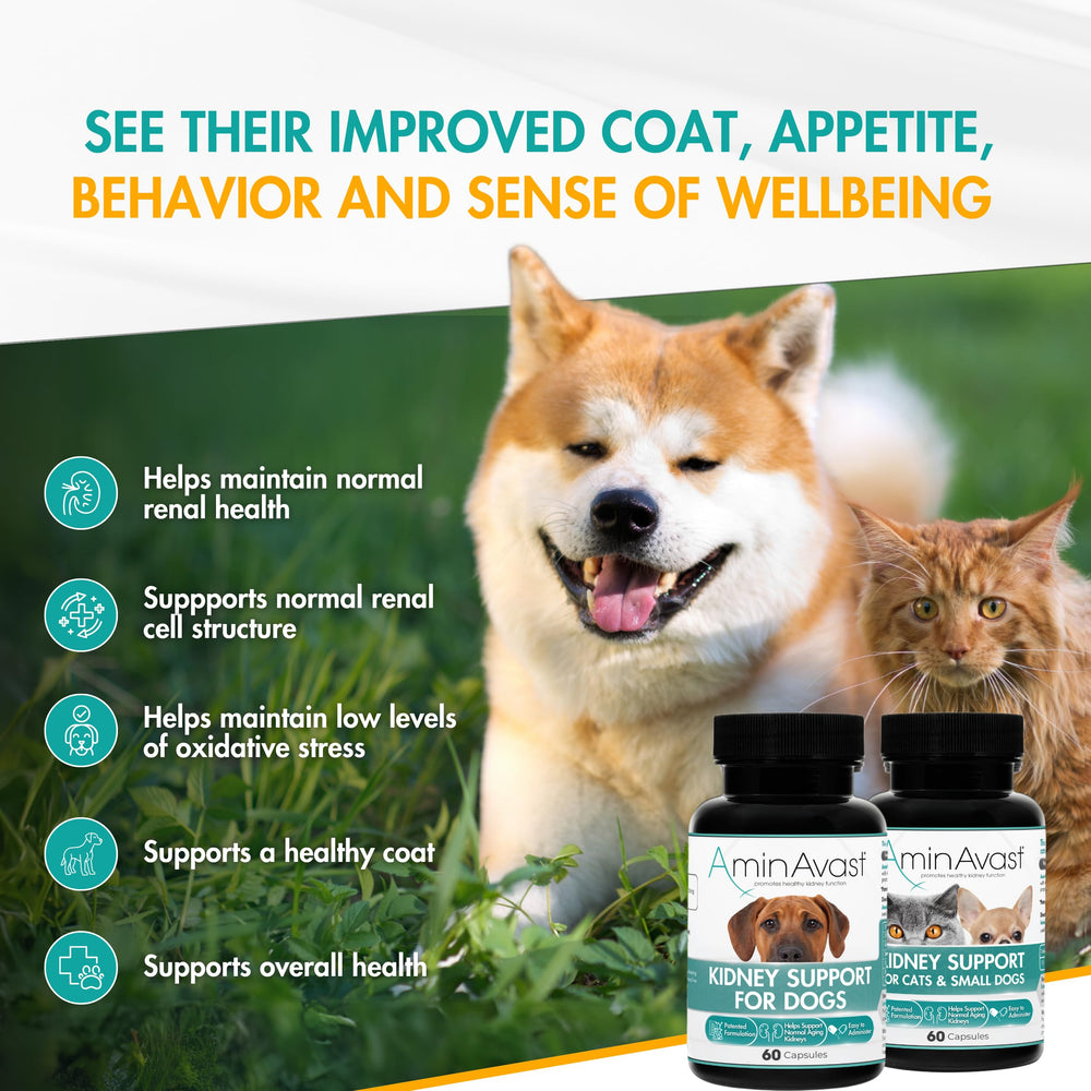 AminAvast sprinkle capsules in food bowl demonstrate simple mixing into meals