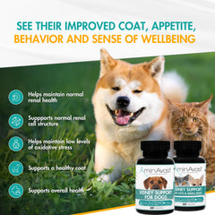 AminAvast sprinkle capsules in food bowl demonstrate simple mixing into meals