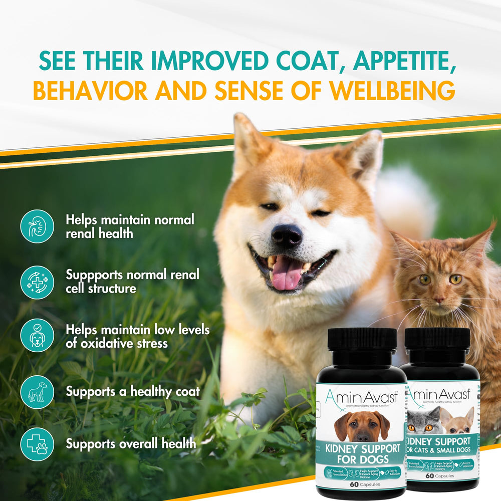 AminAvast sprinkle capsules in food support convenient daily mixing for pets.