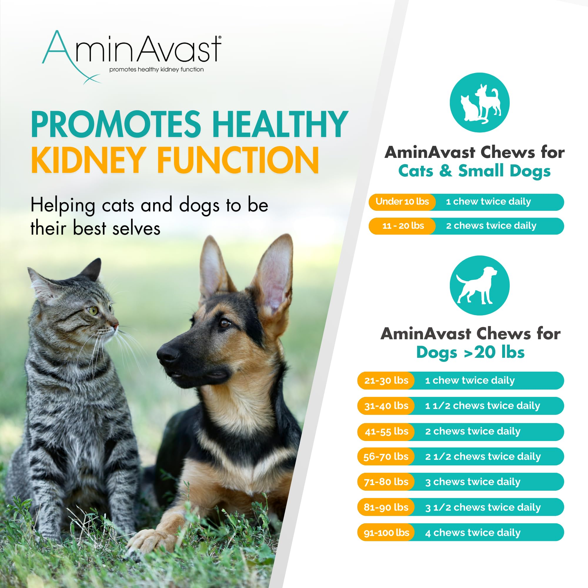 AminAvast urinary health support chews used as part of daily routine.