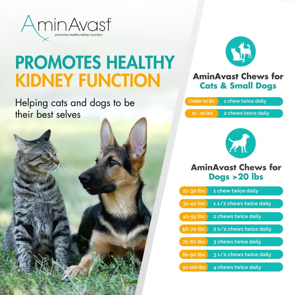 AminAvast urinary health support chews used as part of daily routine.