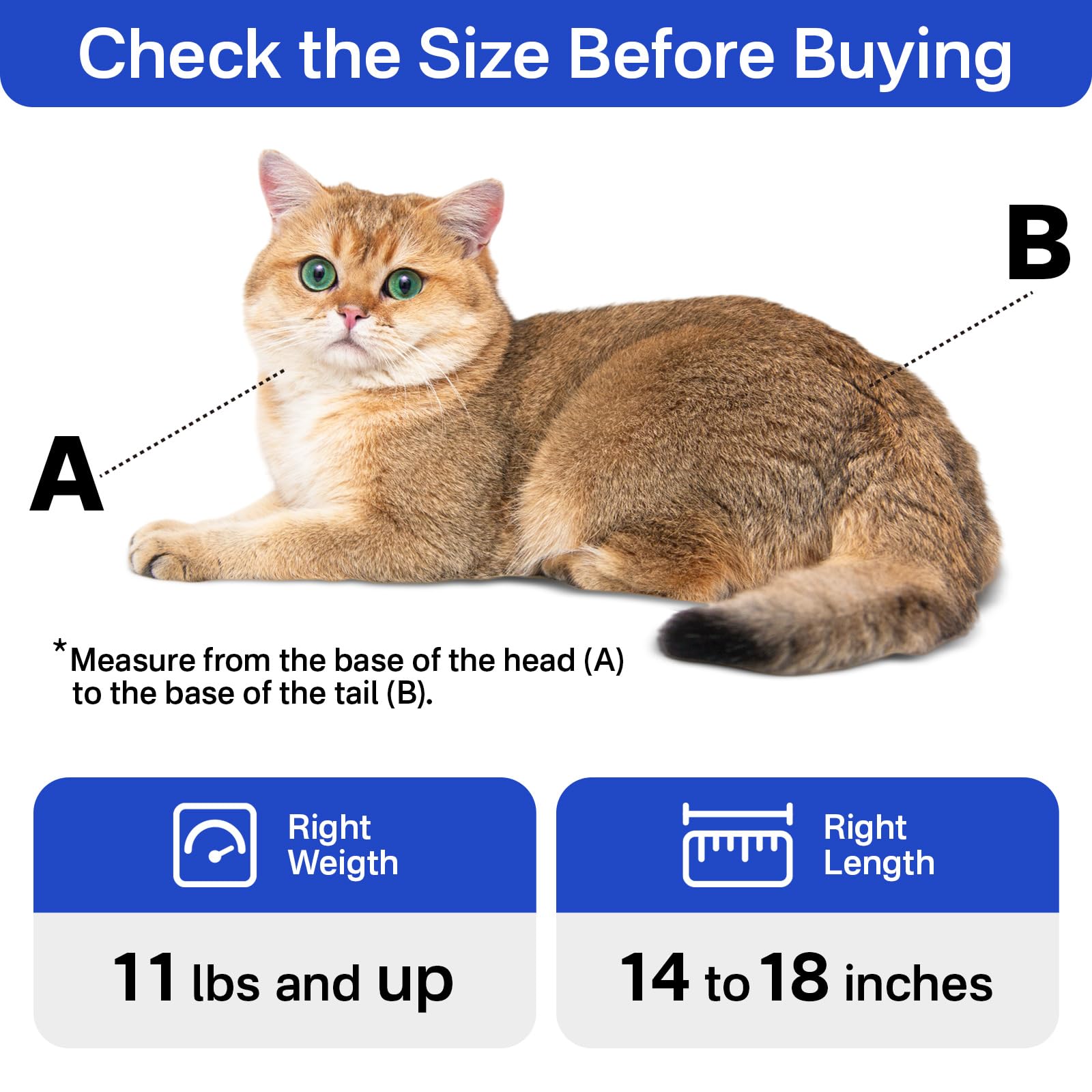 Amkune Cat Carrier Pouch neck opening shows easy access with secure, escape-preventing design.