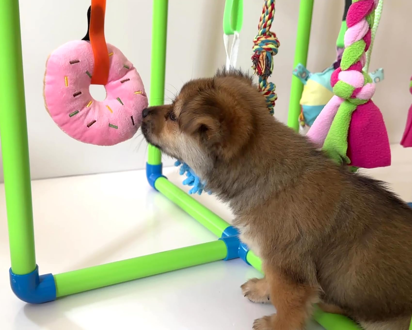 Amlmpet Puppy Play Gym easy setup: quick assembly without tools.