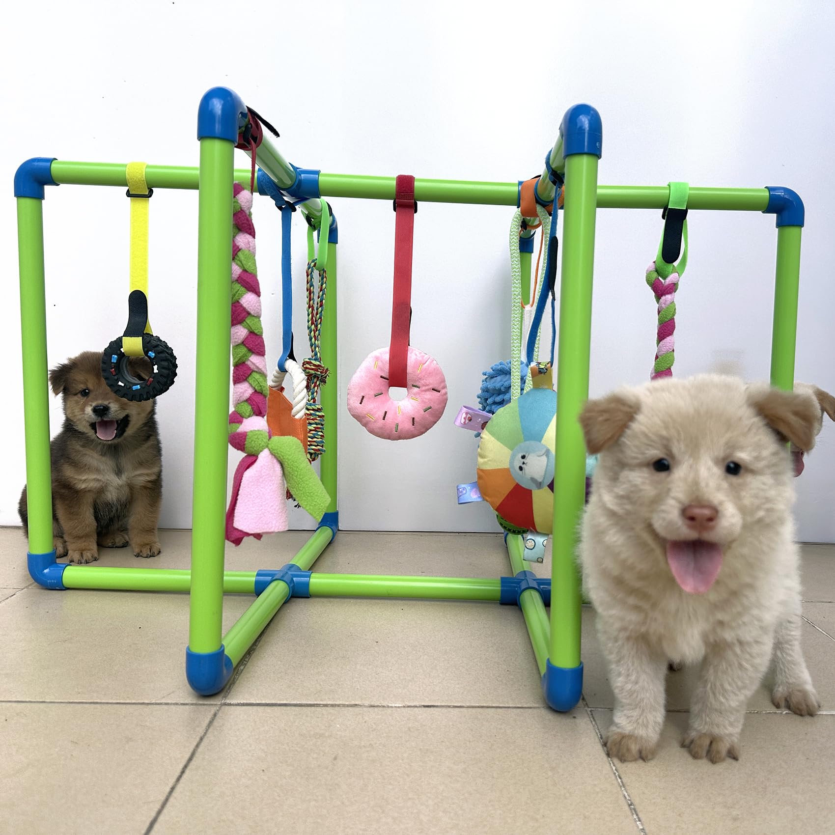 Amlmpet Puppy Play Gym hanging toys: varied textures to delight teething puppies.