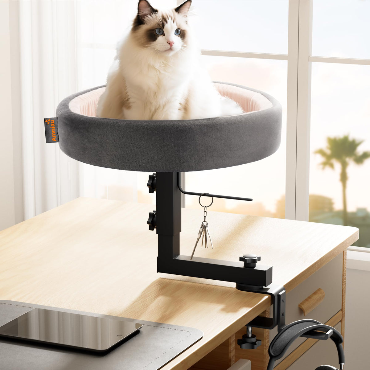Amniau 2-in-1 cat bed desk mount provides an easy workspace companion