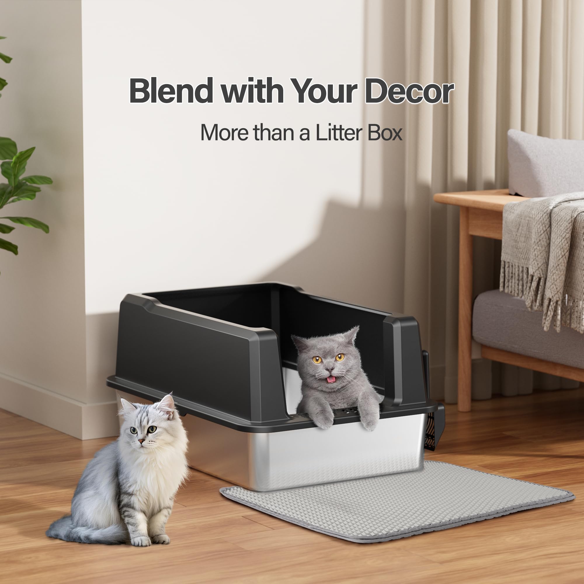 Amniau spacious 28x20.5-inch box shown with Maine Coon size comparison.