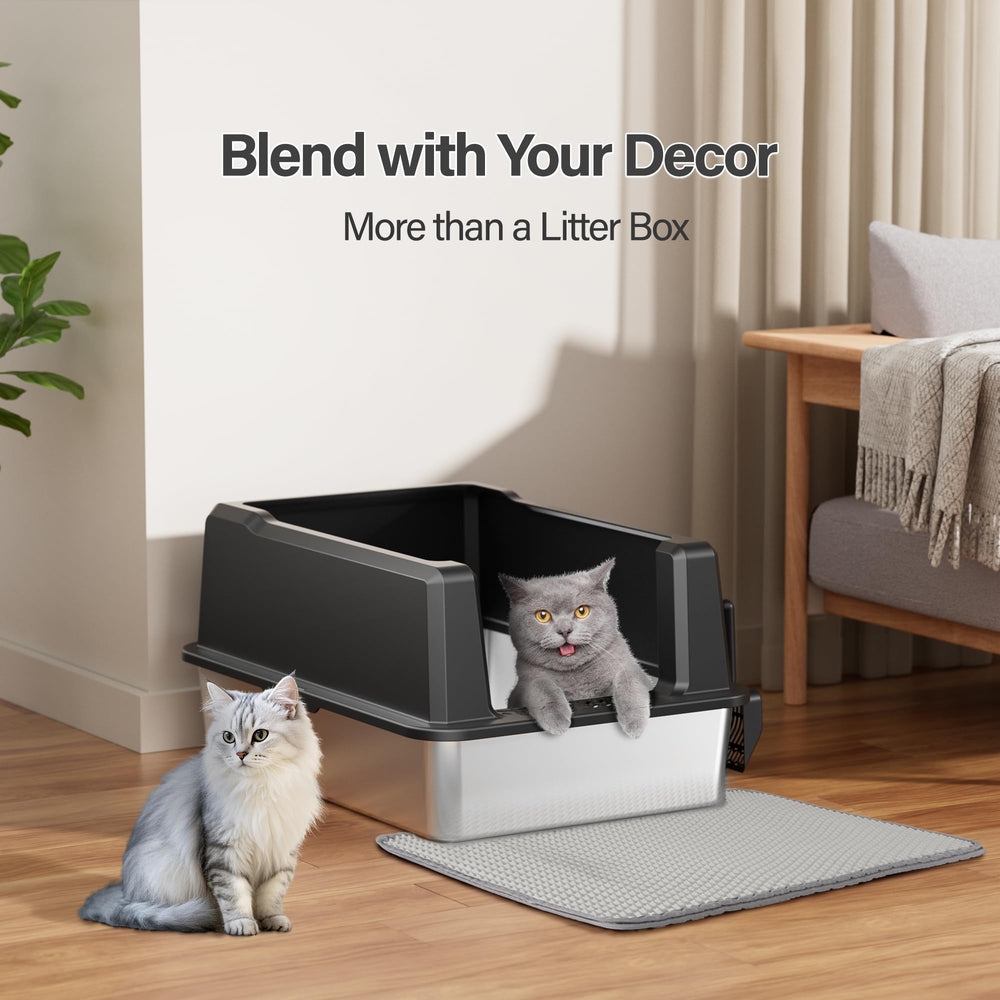 Amniau spacious 28x20.5-inch box shown with Maine Coon size comparison.