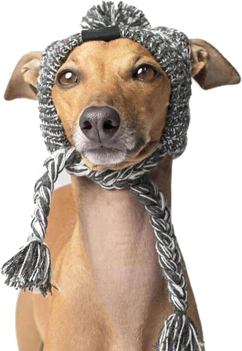 AMOJA Polar Pom Pom Hat gray large front view keeps dogs warm during winter walks