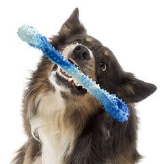 AMOMI PET 13-inch tug-of-war bone with two handles for active sessions.