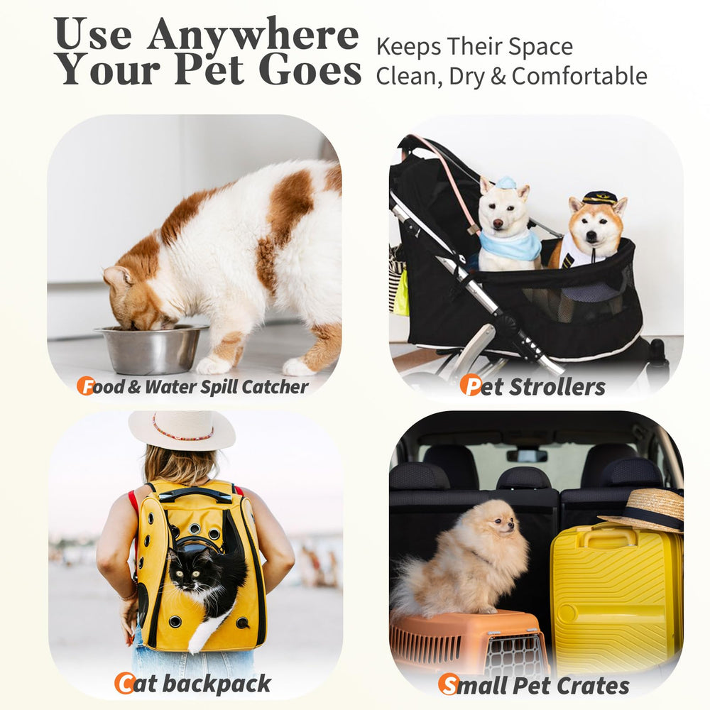 Amorstra pad lasts 5–7 days for a 10 lb cat