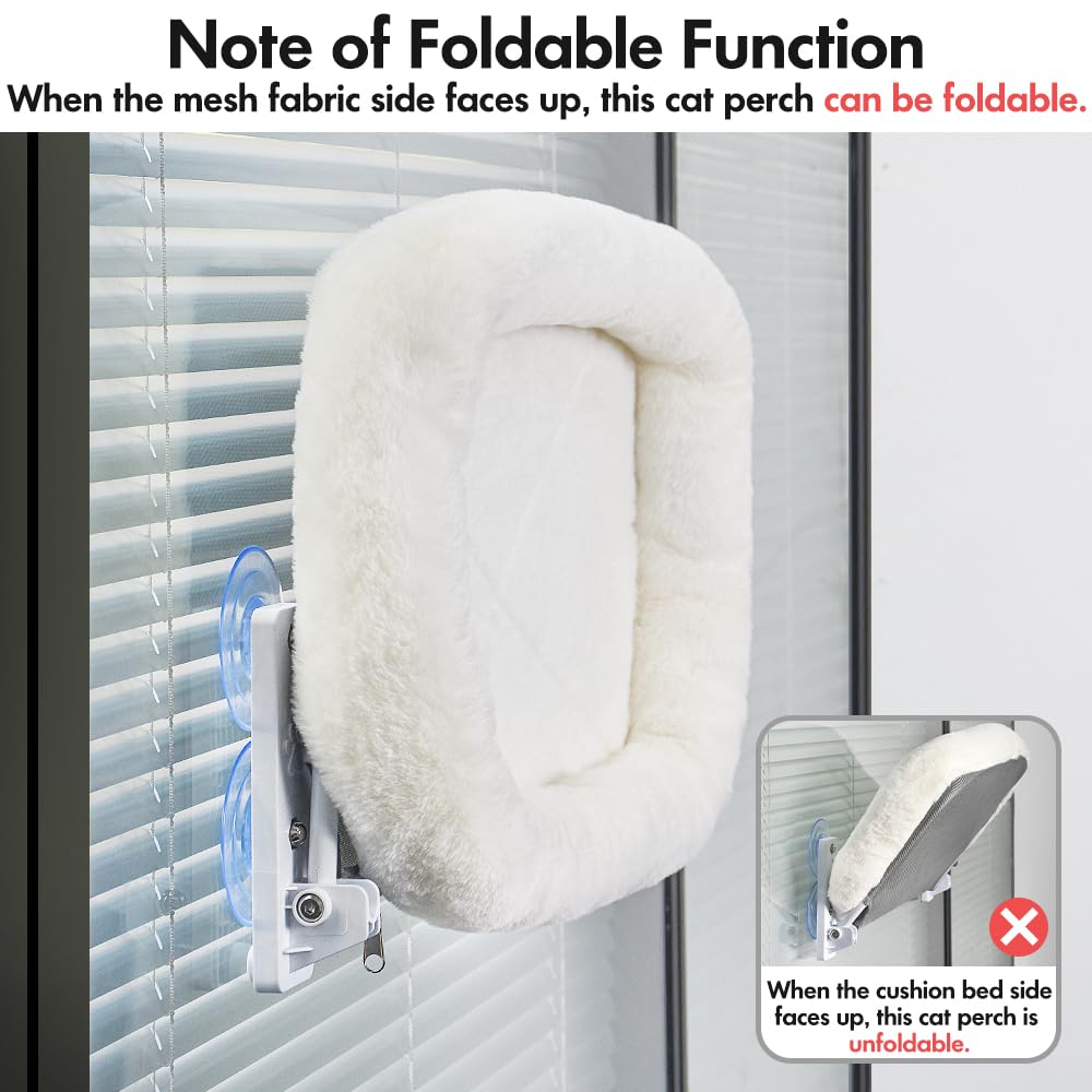 AMOSIJOY cat naps in a sunlit window perch for relaxed observation.