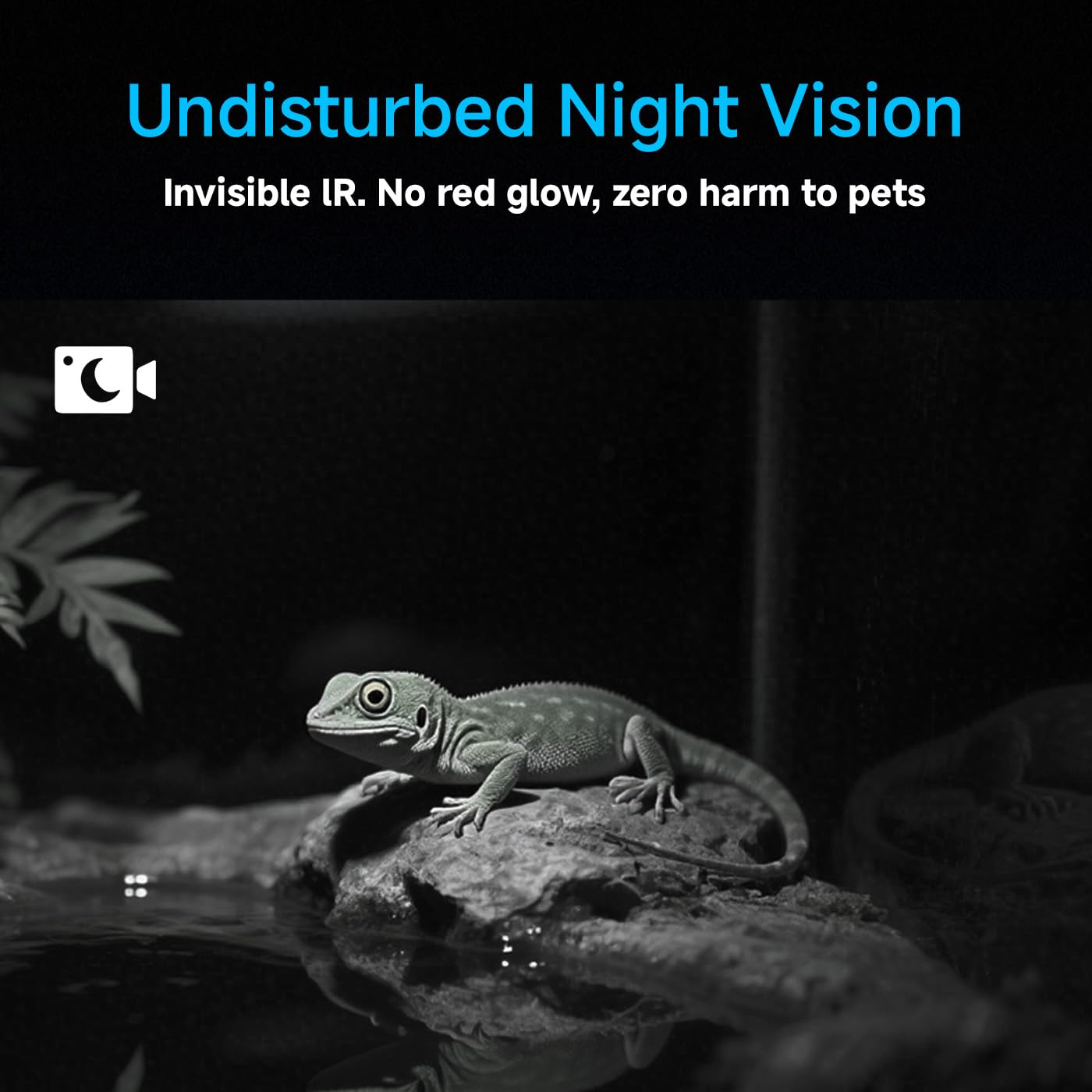 Amouu anti-glare 2K lens ensures clear footage on glossy surfaces