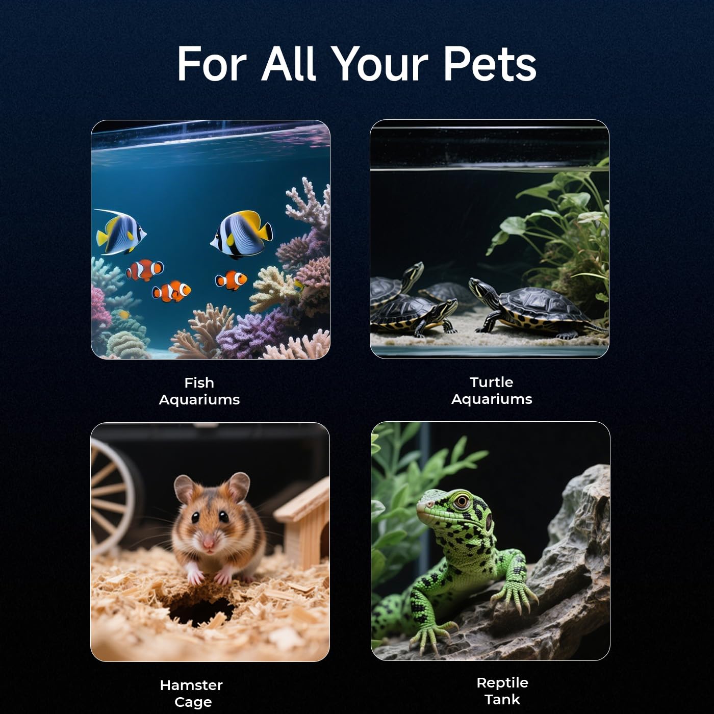 Amouu compact design blends into habitat while providing clear footage