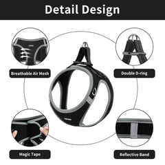 AMTOR soft air mesh harness, breathable comfort for daily walks.