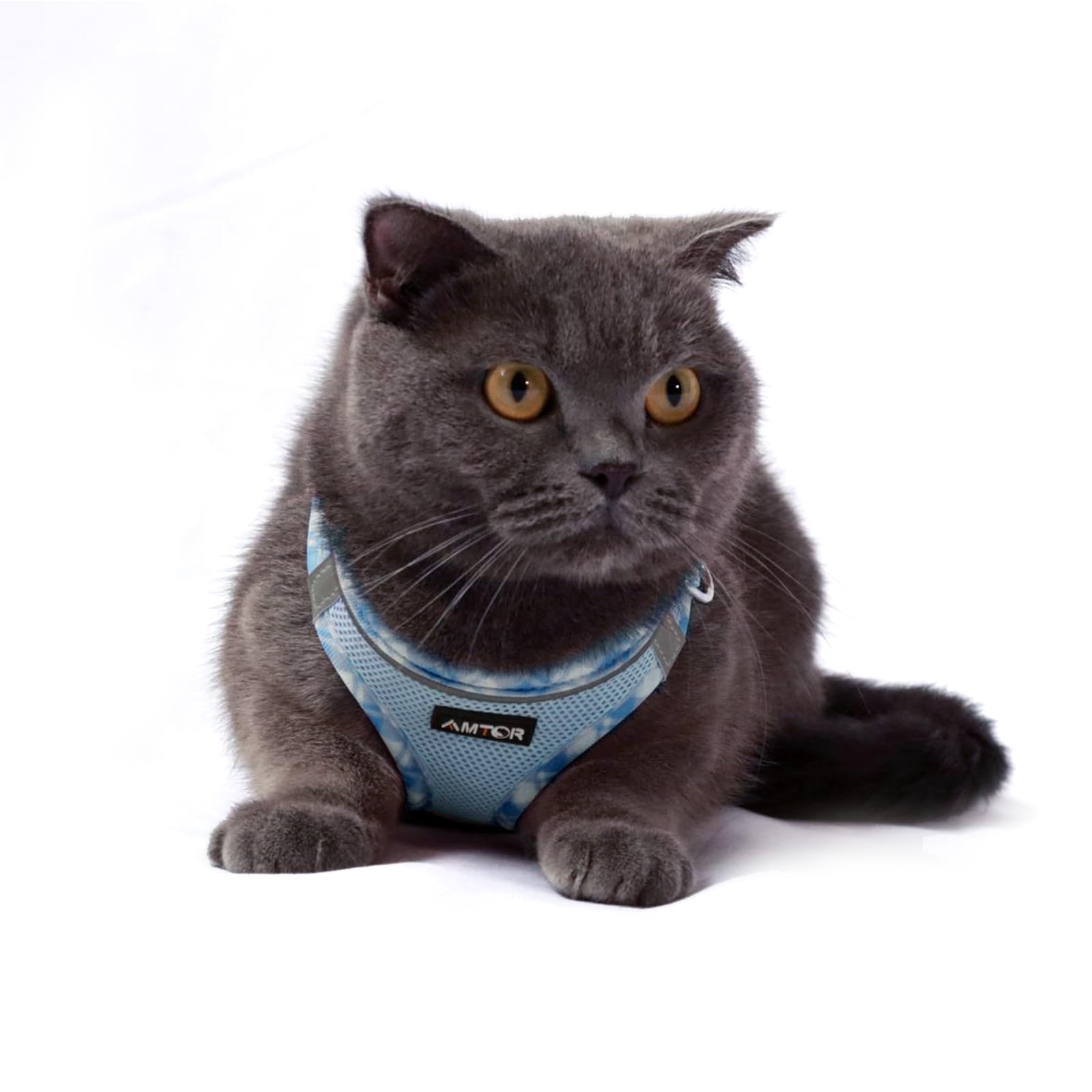 AMTOR adjustable straps ensure a cozy secure fit as dogs move and explore.