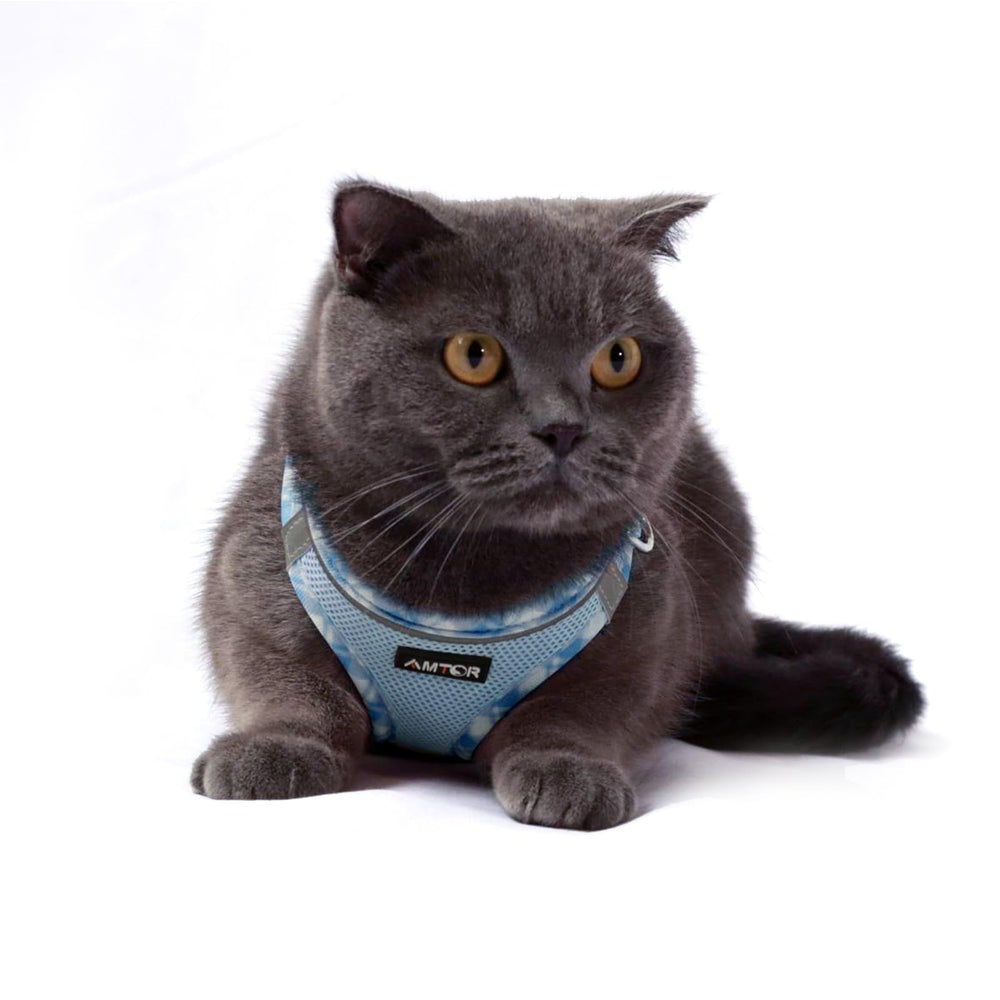 AMTOR adjustable straps ensure a cozy secure fit as dogs move and explore.
