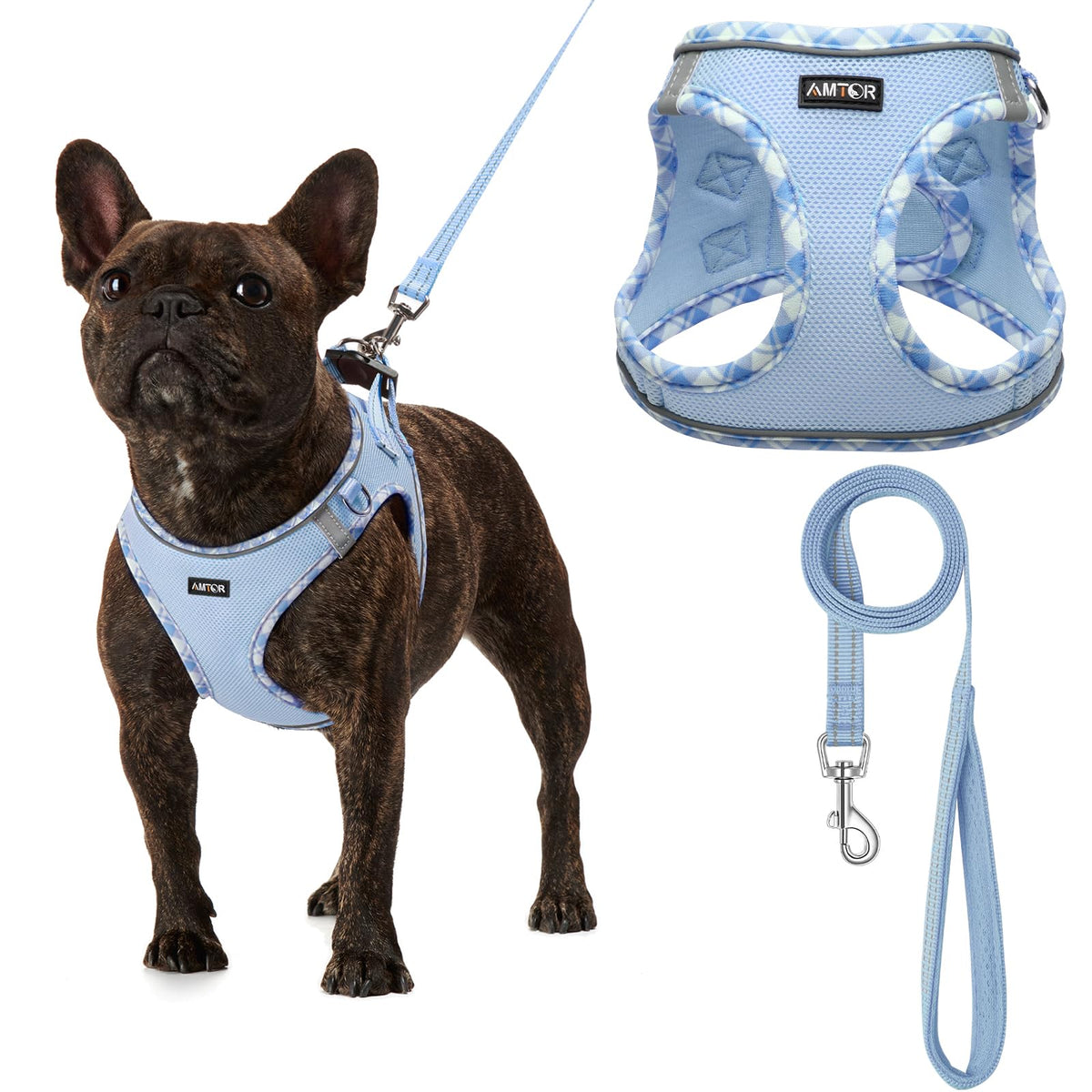 AMTOR small dog harness blue front view shows secure no-pull design for comfortable walks.