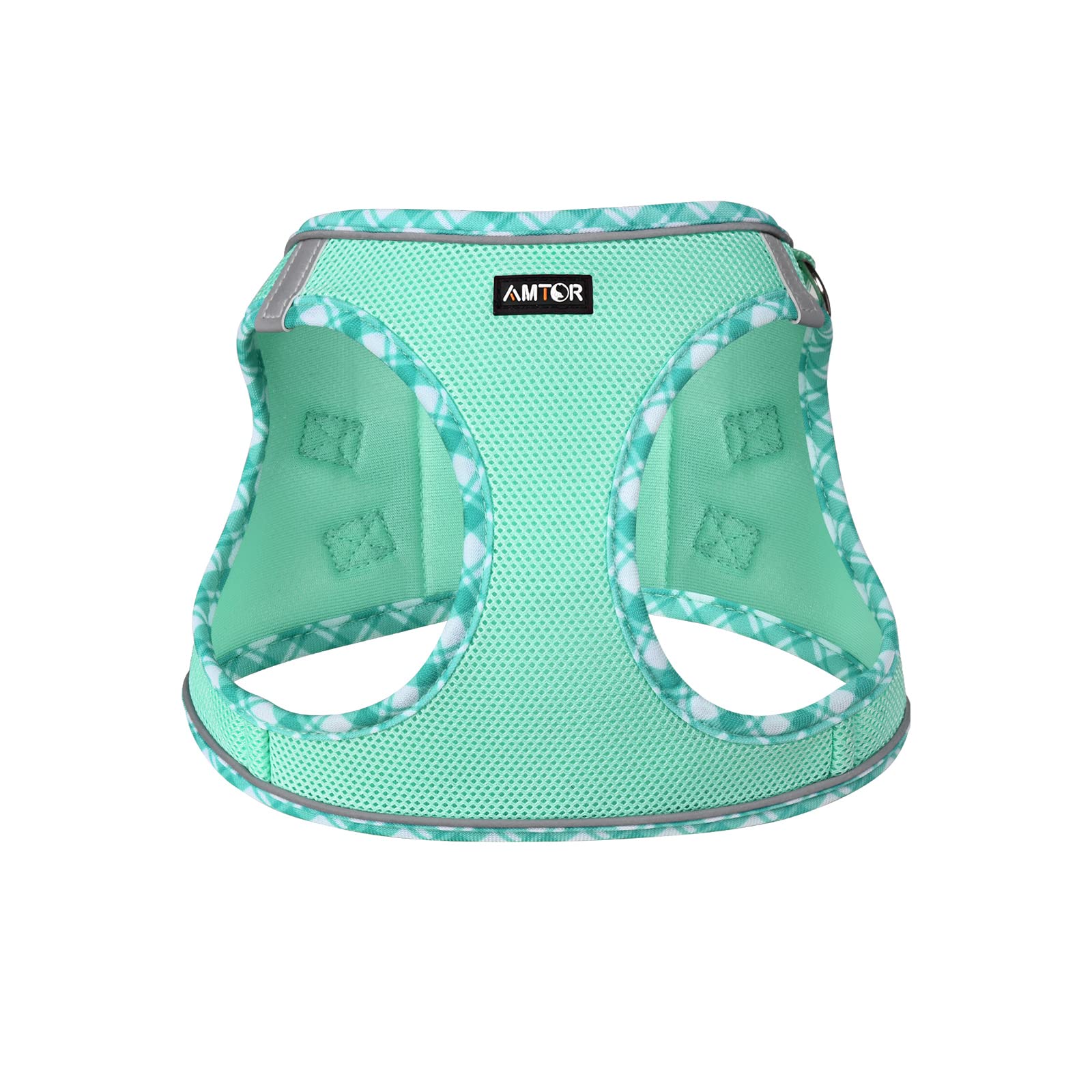 AMTOR harness with reflective strips boosts visibility during night walks.
