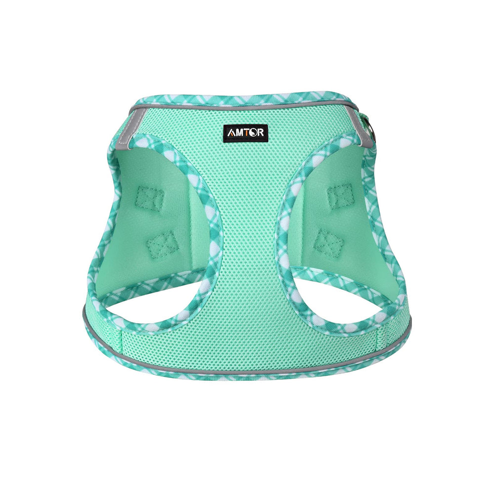 AMTOR harness with reflective strips boosts visibility during night walks.