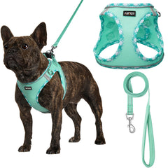 AMTOR small dog harness with leash, front view for secure, comfortable walks.