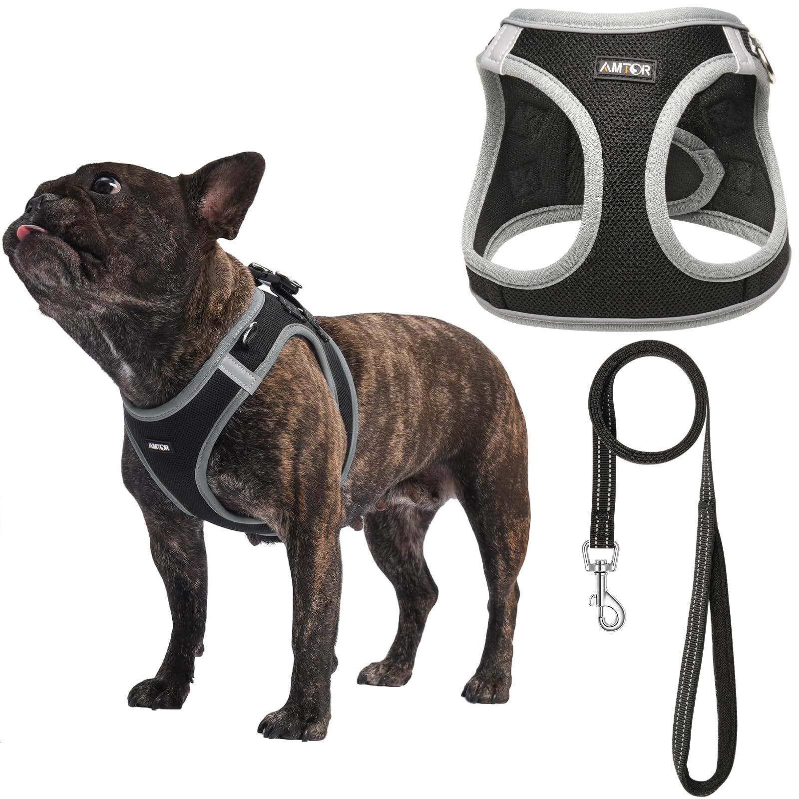 AMTOR small dog harness with leash set, secure control on walks.