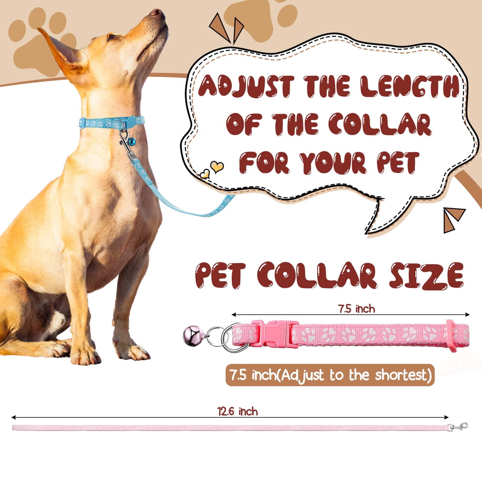 Amylove leash closeup highlights sturdy clip and secure grip for training sessions.