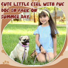 Amylove paws-pattern design showcases cute, eye-catching style during walks.