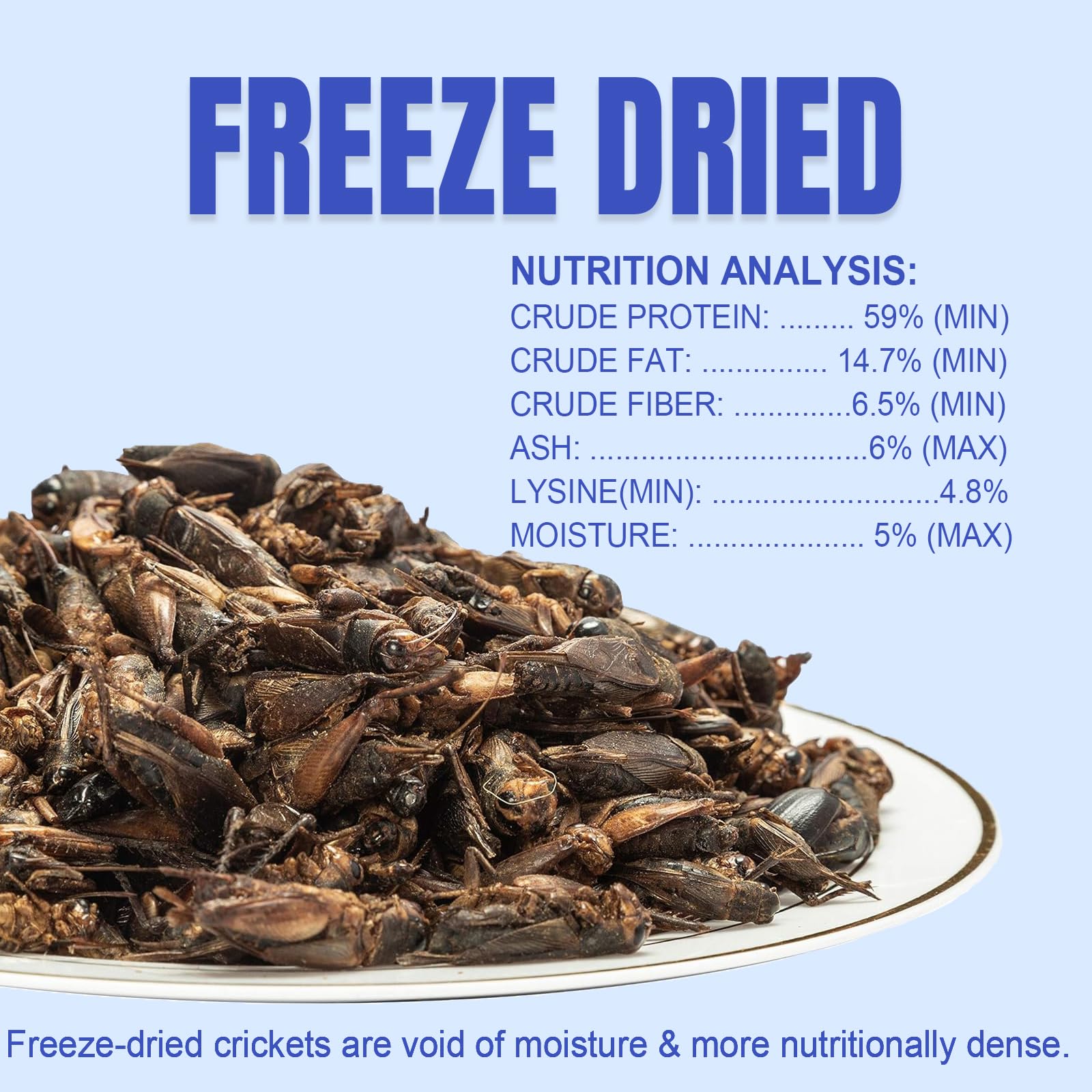 Amzey Appetizing Mealworms crickets close-up highlighting protein for bearded dragons.