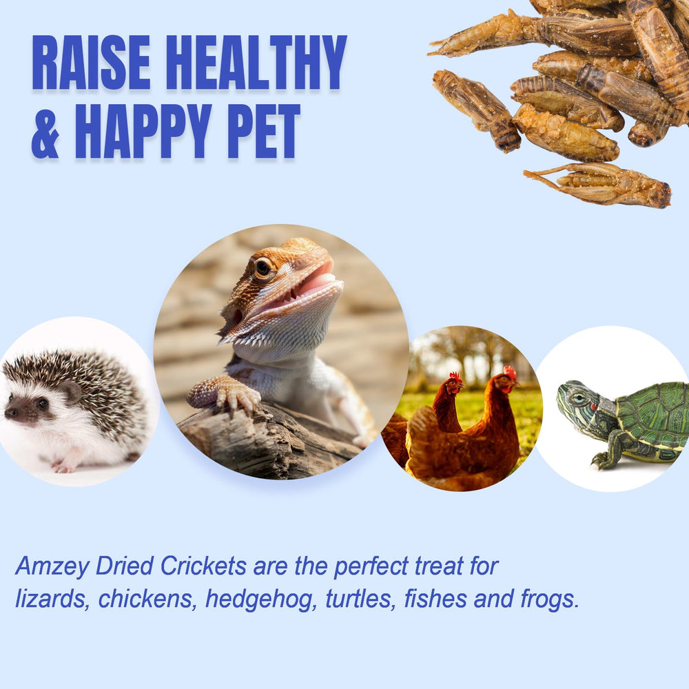 Amzey Appetizing Mealworms fish in a tank with cricket diet supplement.