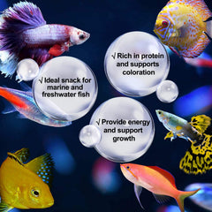 Amzey Blood Worms feeding scene shows quick intake and vibrant, healthy-looking fish